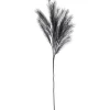 Shop Kunsttak Pluim Zwart Kunstplanten & Kunstbloemen