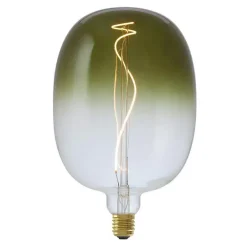 Store Led Lamp 17X27 Cm Groen E27 Dimbaar Lichtbronnen