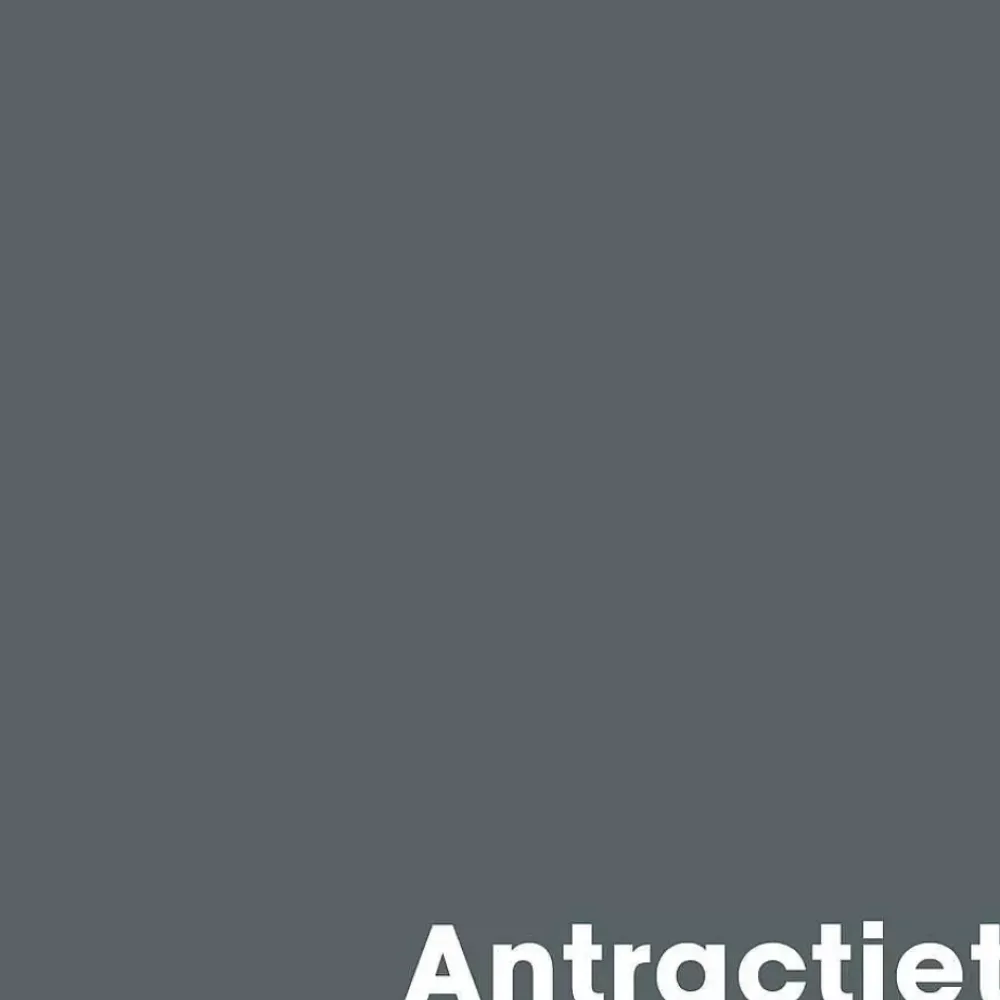 Online Muurverf Mat Antraciet - 1 L Muurverf