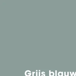 Cheap Muurverf Mat Grijs Blauw - 1 L Muurverf
