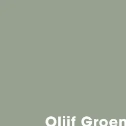 Cheap Muurverf Mat Olijf Groen - 1 L Muurverf