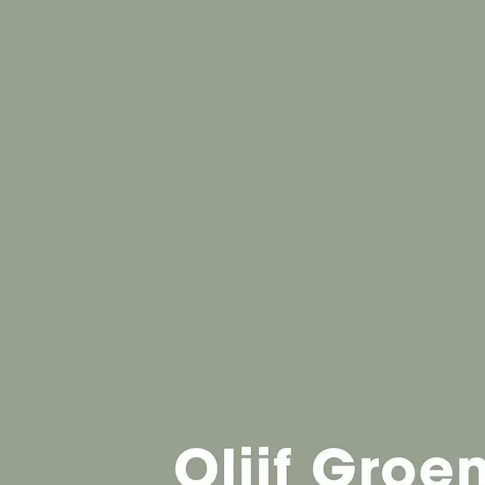 Cheap Muurverf Mat Olijf Groen - 1 L Muurverf