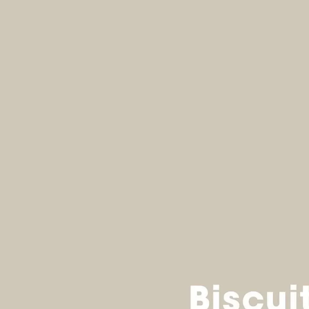 Clearance Muurverf Professional Biscuit - 1 L Muurverf