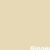 Store Muurverf Professional Ginger - 1 L Muurverf