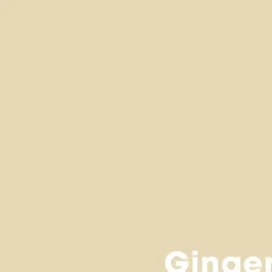 Store Muurverf Professional Ginger - 1 L Muurverf