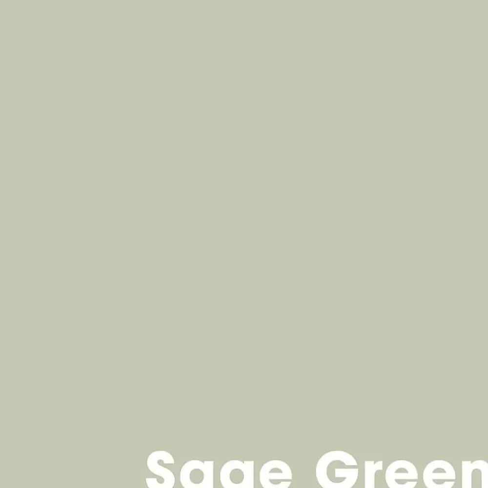 Outlet Muurverf Professional Sage Green - 1 L Muurverf