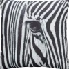 Flash Sale Sierkussen Zebra Wit Sierkussens