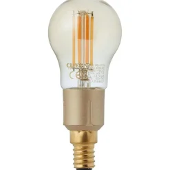 Best Smart Led Kogellamp Goud Lichtbronnen