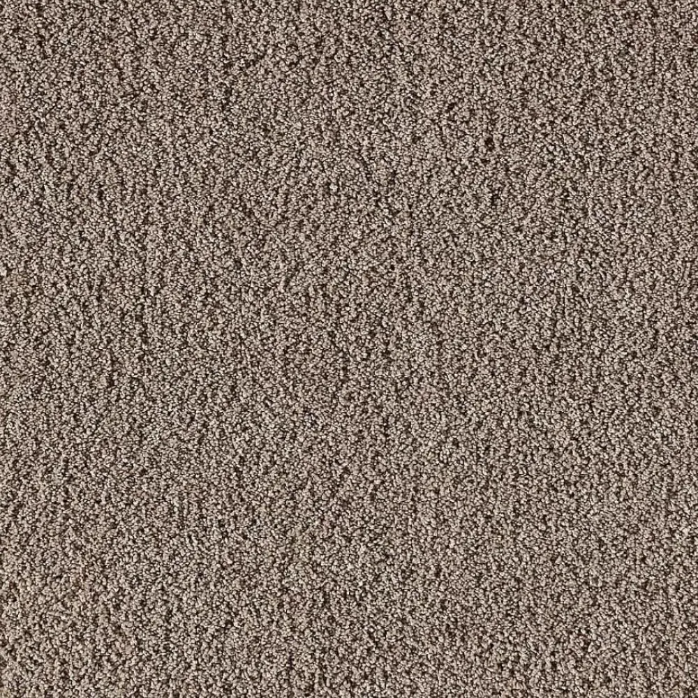 Best Vloerkleed Parlin Naturel Vloerkleden